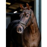 LEMIEUX Uzdečka Arika Dressage Anatomic s anglickým nánosníkem černá – Hledejceny.cz