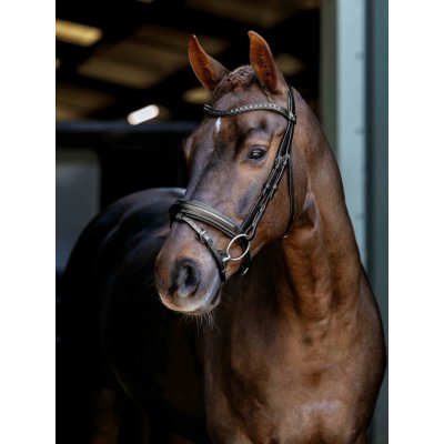 LEMIEUX Uzdečka Arika Dressage Anatomic s anglickým nánosníkem černá – Hledejceny.cz
