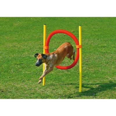 Karlie Flamingo Agility proskakovací kruh s tyčemi 60 cm – Zboží Mobilmania