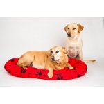 Samohýl Polštář ovál Tlapka – Zbozi.Blesk.cz