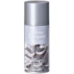 Barva 150ml spray stříbrná – Sleviste.cz