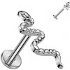 Piercing Šperky4U piercing do brady had titan TIT1252-1208