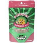 Pangea Fruit Mix Watermelon Complete Gecko Diet 56 g – Zboží Mobilmania