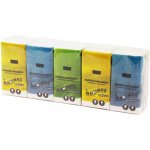 Maximus Fros papírové kapesníčky 3-vrstvé 10 x 10 ks – Zboží Dáma