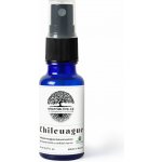 Chilcuague Zlatý Kořen Aztéků 20 ml – Zboží Dáma