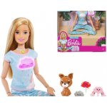 Barbie Wellness a meditace – Hledejceny.cz