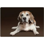 Zolux Podložka pro psy pod misku pejsci L – Zboží Mobilmania