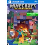 Minecraft: Java & Bedrock Collection – Zboží Dáma