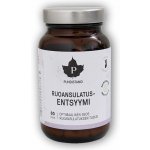 Puhdistamo Digestive Enzymes 60 kapslí – Hledejceny.cz
