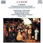 Bach, J.s. - Cantatas Bwv 80 & 147 – Hledejceny.cz