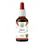 Salvia Paradise Guduchi Chebule srdčitá AF tinktura 50 ml – Hledejceny.cz
