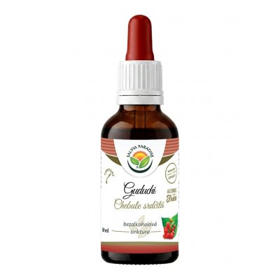 Salvia Paradise Guduchi Chebule srdčitá AF tinktura 50 ml – Hledejceny.cz