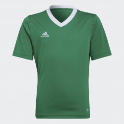 adidas Entrada dětský fotbalový dres 22 zelený