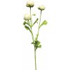 Květina pryskyřník - ranonculus mini bilý v68 cm (N926180)