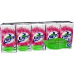 Linteo Soft & Delicate papírové kapesníčky 3-vrstvé 10 x 10 ks – Hledejceny.cz