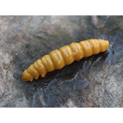 LIBRA LURES LARVA 35 mm 12 Stück/Dose KRILL Flavour Farbe 036 COFFEE MILK LIBRA LURES LARVA 35 mm 12 Stück/Dose KRILL Flavour Farbe 036 COFFEE MILK