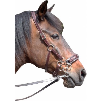 F.R.A. Uzdečka s hackamore Aram mocca – Sleviste.cz