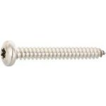 DIN7981C 6.3 x 32 Torx30 vrut do plechu s čočkovou hlav. z ušlecht. oceli A2 (100 ks) – Hledejceny.cz