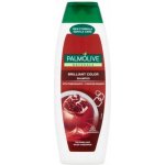 Palmolive Naturals Brilliant Color šampon 350 ml – Sleviste.cz