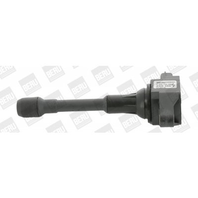 Zapalovací cívka BorgWarner (BERU) ZSE088 – Hledejceny.cz