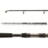 Prut Daiwa Exceler Catfish 3 m 200-600 g 2 díly