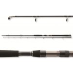 Daiwa Exceler Catfish 3 m 200-600 g 2 díly – Hledejceny.cz