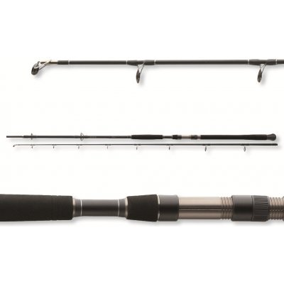 Daiwa Exceler Catfish 3 m 200-600 g 2 díly – Hledejceny.cz
