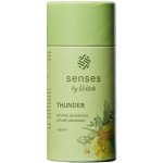 Kvitok Senses deostick Thunder 45 ml – Sleviste.cz