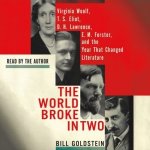 World Broke in Two: Virginia Woolf, T. S. Eliot, D. H. Lawrence, E. M. Forster, and the Year That Changed Literature – Zboží Mobilmania