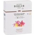 Maison Berger Paris keramická náplň SOLEIL D'AMBRE 2 ks | Zboží Auto