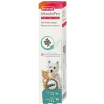 Pasta Beaphar IntestoPro pro psy nad 15 kg 2 x 20 ml – Hledejceny.cz