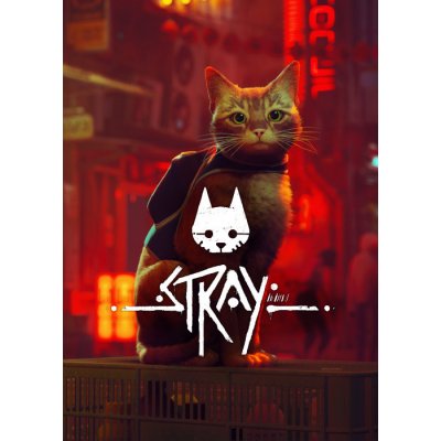 STRAY - O jogo do gato gameplay do Davy Jones 