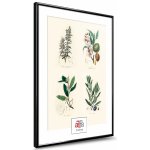 aFFa frames aFFa rámy, Plastový rámeček, Akrylátové sklo, Fotorámeček, Rámeček na plakát, Černý, 42x59,4 cm – Sleviste.cz