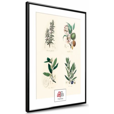 aFFa frames aFFa rámy, plastový obrazový rám, akrylátové sklo, fotorámeček, plakátový rám, černý, 70x100 cm – Zbozi.Blesk.cz