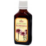 Grešík Echinacea tinktura kapky 50 ml – Hledejceny.cz