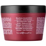 Fanola Botugen Botolife Mask 300 ml – Zboží Dáma