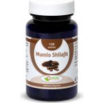 Natural Pharm Mumio Shilajit 100 tablet – Hledejceny.cz