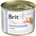 Brit VD Dog GF Gastrointestinal 200 g – Hledejceny.cz