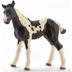 Schleich 13803 Pinto hříbě – Zbozi.Blesk.cz