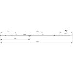 MACO OS-převodovka DM 15 i.S. 600 mm 1341-1590 mm – Zboží Mobilmania