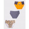 Dětské spodní prádlo Yoclub chlapecké slipy 3Pack BMC-0033C-AA30-002 multicolour