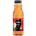Cappy Jablko 250 ml – Sleviste.cz