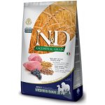 N&D Ancestral Grain Dog Adult Medium & Maxi Lamb & Blueberry 2,5 kg – Hledejceny.cz