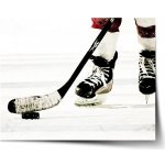 Sablio Plakát Lední hokej - 60x40 cm – Hledejceny.cz