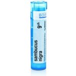 SAMBUCUS NIGRA POR 9CH GRA 4G – Hledejceny.cz