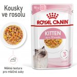 Royal Canin Kitten Instinctive Jelly 12 x 85 g – Hledejceny.cz