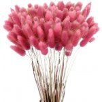 Sušená pampová tráva 60 ks – Zboží Dáma