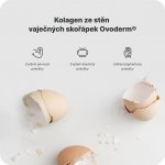 Vilgain Kolagen komplex hruška a broskev 300 g – Zbozi.Blesk.cz