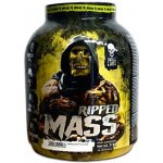Skull Labs Ripped Mass 3000 g – Zboží Mobilmania