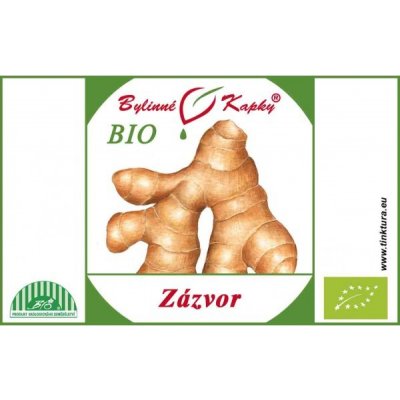 Bylinné kapky Zázvorovník Bio Kapky tinktura 50 ml – Hledejceny.cz